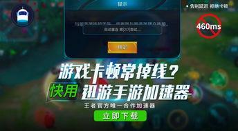 二舅王者爆料视频大全最新  第3张